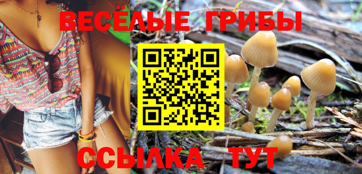Псилоцибиновые грибы Cubensis Пушкино