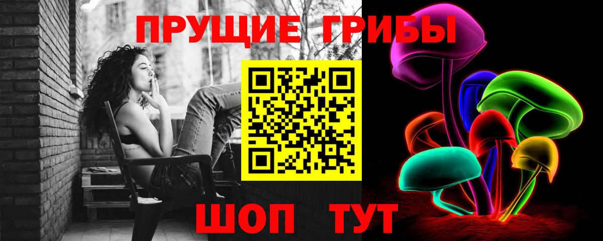 Пушкино  Псилоцибиновые грибы MAGIC MUSHROOMS  Вход с VPN 